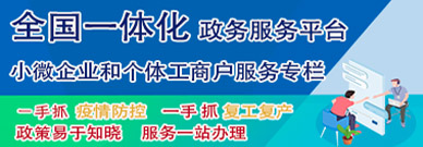 全國(guó)一體化政務(wù)服務(wù)平臺(tái)小微企業(yè)和個(gè)體工商戶(hù)服務(wù)專(zhuān)欄